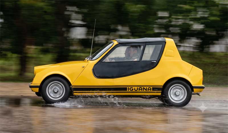 Puelche Iguana Renault