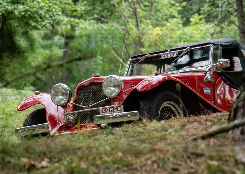 Eniak Antique VW 1800