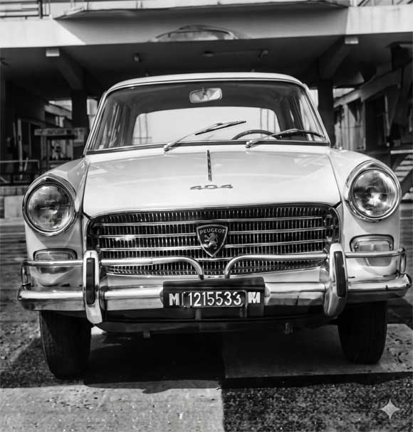Peugeot 404 (5 bancadas)