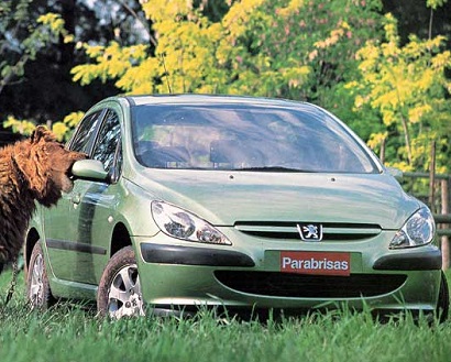 Peugeot 307 XT