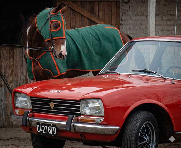 Peugeot 504 E