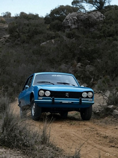 Peugeot 504 TN